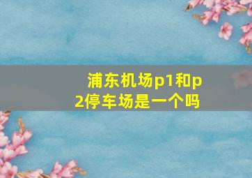 浦东机场p1和p2停车场是一个吗