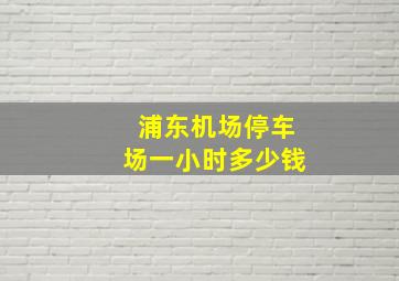 浦东机场停车场一小时多少钱