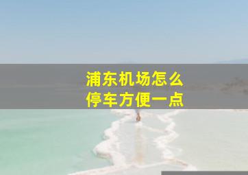 浦东机场怎么停车方便一点