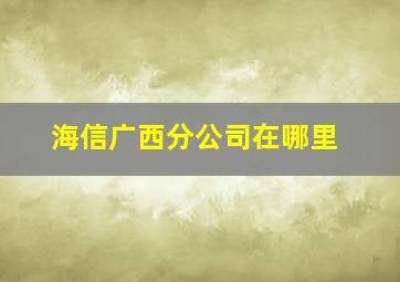 海信广西分公司在哪里