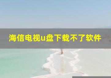 海信电视u盘下载不了软件