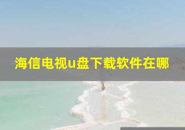 海信电视u盘下载软件在哪