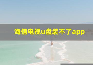 海信电视u盘装不了app