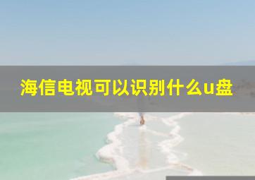 海信电视可以识别什么u盘