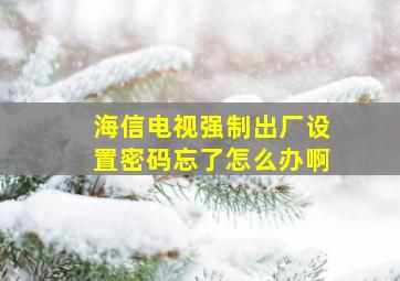 海信电视强制出厂设置密码忘了怎么办啊