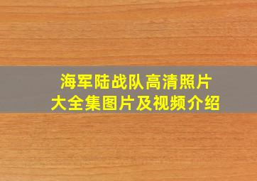 海军陆战队高清照片大全集图片及视频介绍