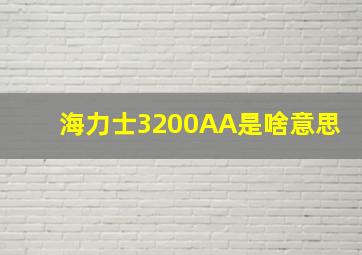 海力士3200AA是啥意思