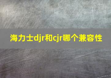 海力士djr和cjr哪个兼容性