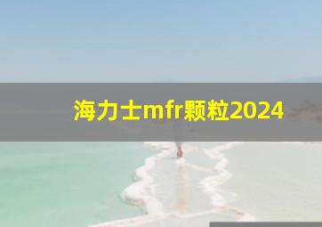 海力士mfr颗粒2024