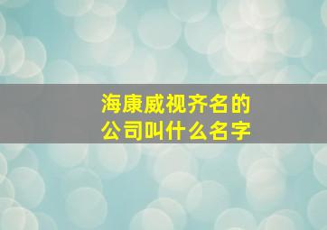 海康威视齐名的公司叫什么名字