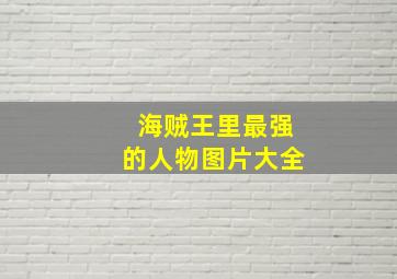 海贼王里最强的人物图片大全