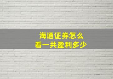 海通证券怎么看一共盈利多少