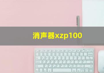 消声器xzp100