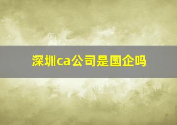 深圳ca公司是国企吗