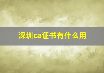 深圳ca证书有什么用