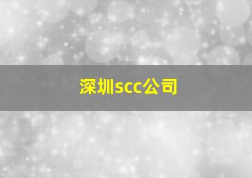 深圳scc公司