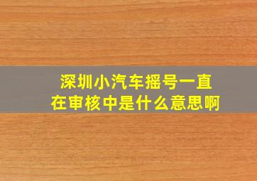 深圳小汽车摇号一直在审核中是什么意思啊