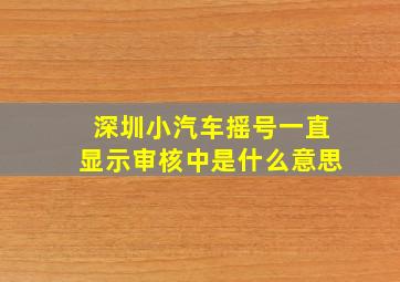 深圳小汽车摇号一直显示审核中是什么意思