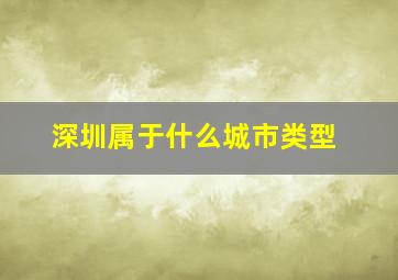 深圳属于什么城市类型