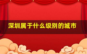 深圳属于什么级别的城市