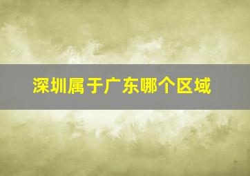 深圳属于广东哪个区域