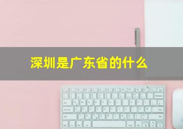 深圳是广东省的什么