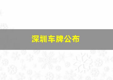 深圳车牌公布