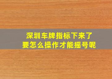 深圳车牌指标下来了要怎么操作才能摇号呢