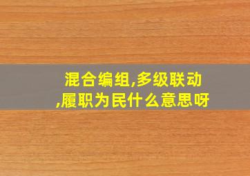 混合编组,多级联动,履职为民什么意思呀