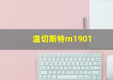 温切斯特m1901