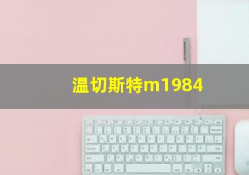 温切斯特m1984