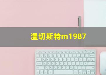 温切斯特m1987