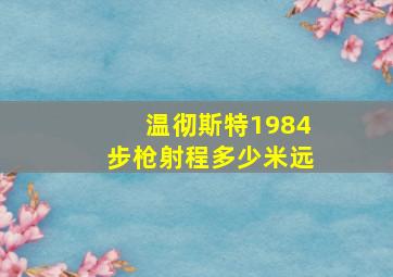 温彻斯特1984步枪射程多少米远