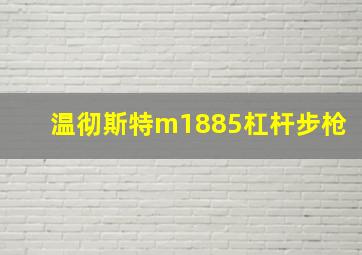 温彻斯特m1885杠杆步枪