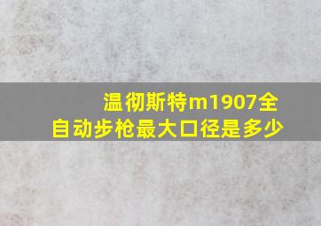 温彻斯特m1907全自动步枪最大口径是多少