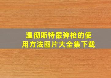 温彻斯特霰弹枪的使用方法图片大全集下载