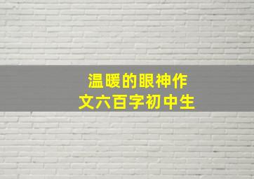 温暖的眼神作文六百字初中生