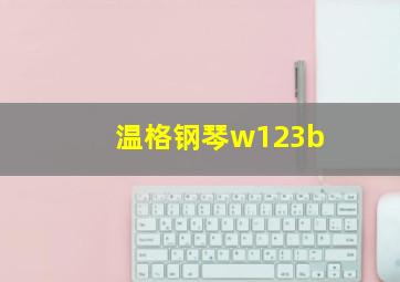 温格钢琴w123b