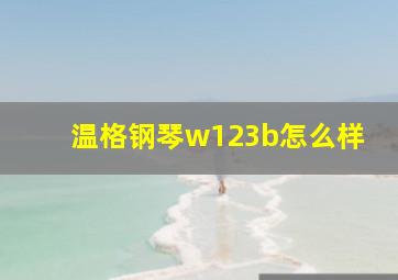 温格钢琴w123b怎么样