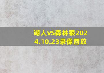 湖人vS森林狼2024.10.23录像回放