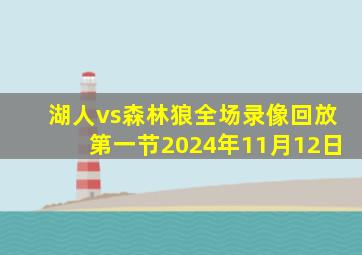 湖人vs森林狼全场录像回放第一节2024年11月12日