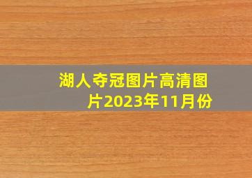 湖人夺冠图片高清图片2023年11月份