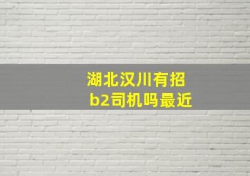 湖北汉川有招b2司机吗最近