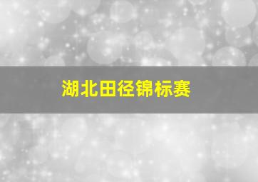 湖北田径锦标赛