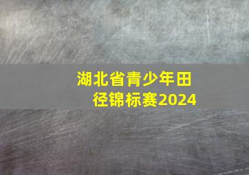 湖北省青少年田径锦标赛2024