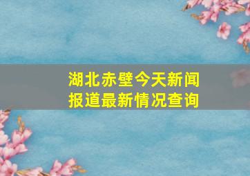 湖北赤壁今天新闻报道最新情况查询