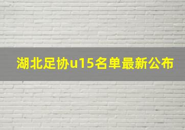 湖北足协u15名单最新公布