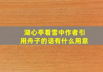 湖心亭看雪中作者引用舟子的话有什么用意