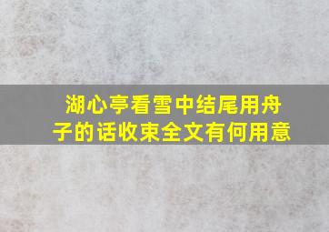 湖心亭看雪中结尾用舟子的话收束全文有何用意