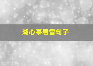 湖心亭看雪句子